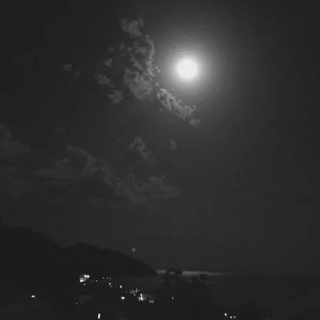 Seaward *